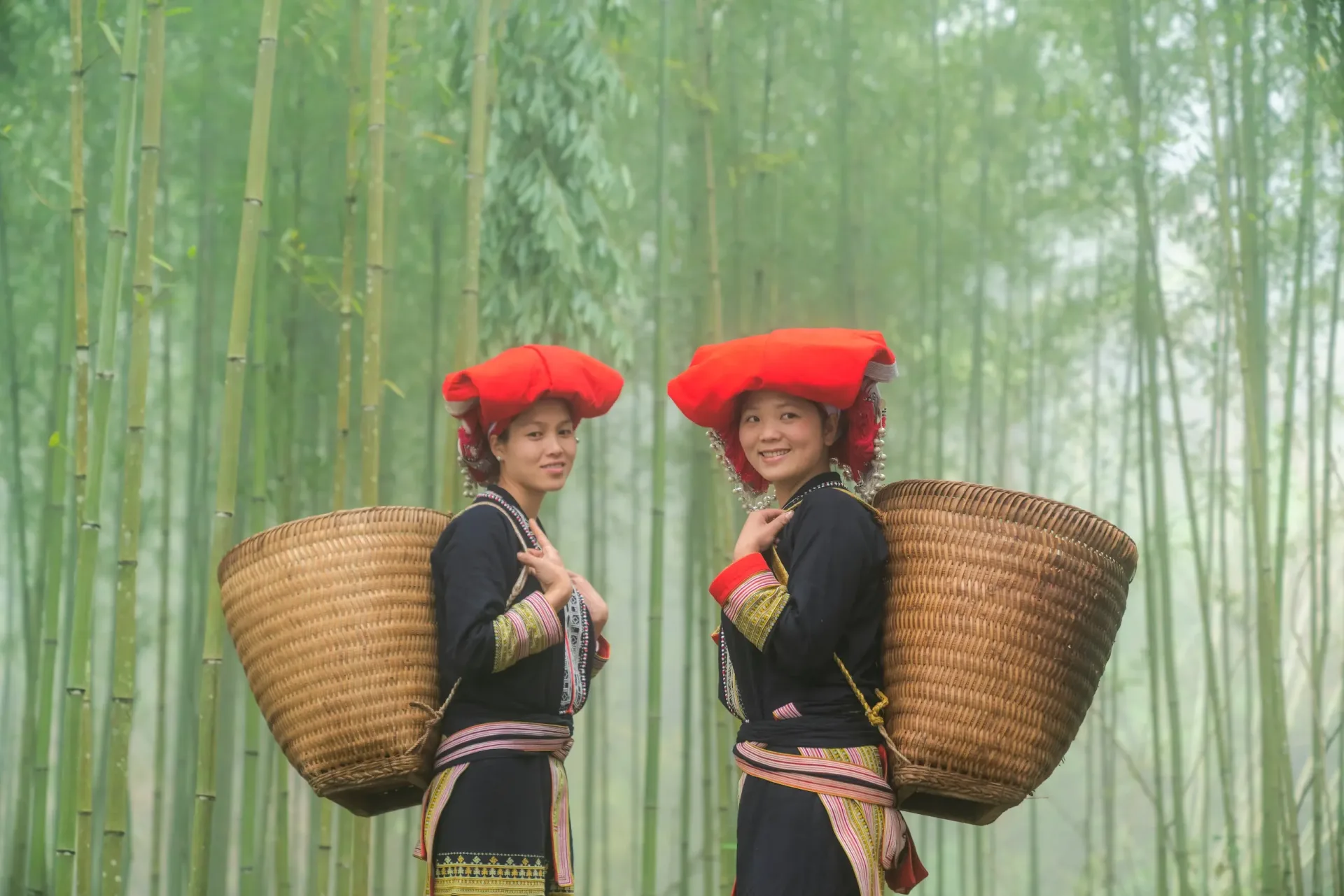 Sapa VN xcnm